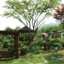 베짱이정원 이미지