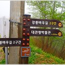 송림길 이미지