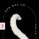 달리풀