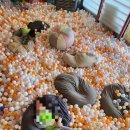 키즈영창어린이집 이미지