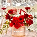 (주)대경레미콘 | 대구 수성구 어버이날 꽃 바구니 선물 추천 백화, 플레르블랑쉬