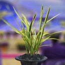 신안군민체육관 체육관 이미지