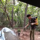 진섭농장 이미지