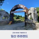 쥬쥬랜드 이미지