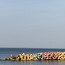 사천 팜스스파 수 | 강릉 사천해변근처 수영장 스파 개별바베큐 모두 가능한 스테이다시올게펜션 내돈내산 후기