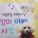 빠숑 이미지