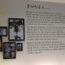 요일별식당 이미지