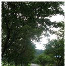 걷기로 했다(1) 이미지