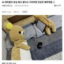 sk 대리점이 유심 재고 없다고 구라치면 진상짓 해주면댐 이미지