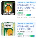 부평농업협동조합영농자재센터 | 배추를 노리는 벌레와의 전쟁, 배추 한랭사. 그리고 남의 배추는 얼마나 컸나