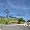 의성학하고택 | [나트랑 리조트] 오션뷰 객실 &amp; 프라이빗 머드스파 후기 &#39;아미아나 리조트 깜란&#39;
