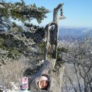 덕유산 송어 이미지