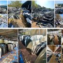 TH모터스 이미지