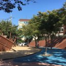 무궁화어린이공원 수 이미지