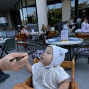 (자)제일택시 | 아기와 푸꾸옥 6일차(마지막)｜그랜드월드 수상택시→마이흐엉 해산물→귀국 비행(아기 토/멀미) 현실 후기