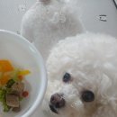 아이알씨