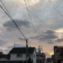 제주일상 이미지