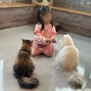 포포앤미루 강동점 | 동물 좋아하는 아이라면 무조건 좋아할 강동 포포앤미루 (feat.풍자네봄)