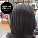 찌니살롱 이미지