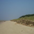 해안사구 이미지