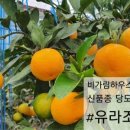 유라농장 이미지