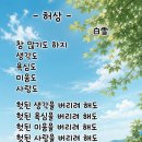 백영옥