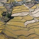 아라씨앗드리공동체영농조합법인 | [다바뉴스] 함안군, 경남도 다랑논 지역자원화 공모사업 선정