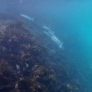 월정뷰게스트하우스코난비치대여점 이미지