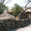 표선리-19 이미지