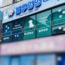 멍멍컷 이미지