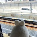 일본 오사카 여행] 2일차 쿠로몬시장, 덴덴타운, 도톤보리