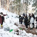 스테이(STAY) 25 이미지