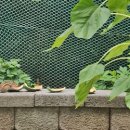 월광농원 이미지