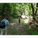 김주신선생묘 이미지