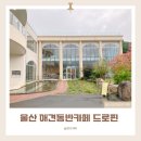 울산 울주군 드로핀 애견동반 감성 대형카페 만족후기