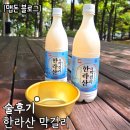 제주청정수 | [술후기] 한라산막걸리 / 농업회사법인 제주서로 (제주도막걸리, 제주도특산품, 무아스파탐막걸리, 추천...