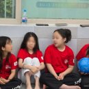 태양태권도 이미지