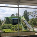 돼지야 놀자 이미지