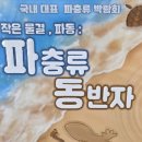 디어렙세종보람