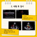 오디세이 동물심장내과 이미지