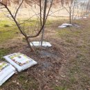 내척농장 이미지