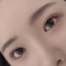 더봄애견 | [공지] [구미/산동읍] 속눈썹 잘하는 곳 추천 프롬더봄 리얼후기🩷