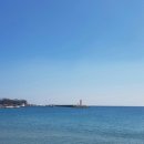 용경회식당 이미지