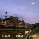 희미해진 빠지의 기억