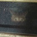 통도동물병원 이미지