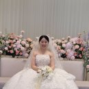 조카 보라 시집가는 낱 이미지