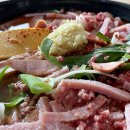 최네집 이미지