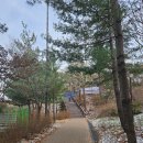 서울대76동나인온스버거 이미지