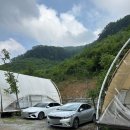 천안 캠핑 : 천안 글램핑 : 천안 트리하우스 후기