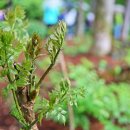 삼생농장 이미지